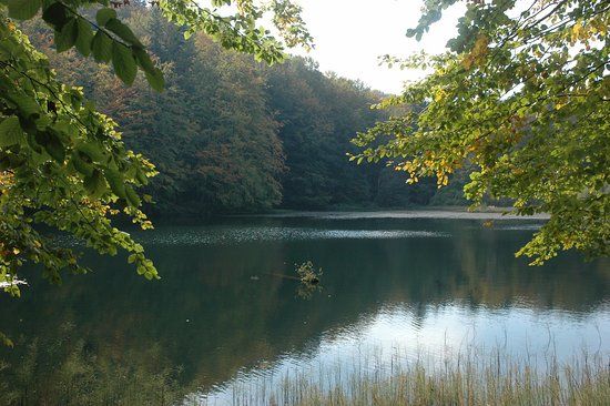 Rezerwat przyrody Zwiezło